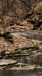 River flowing through rocks in forest