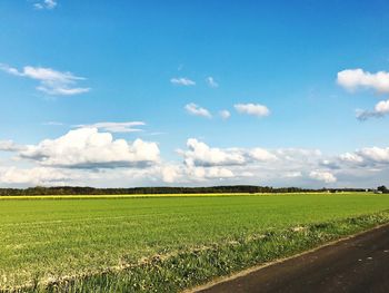 Scenic view of field against sky