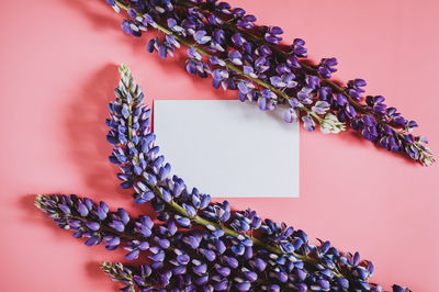 High angle view of purple flowering plant on table