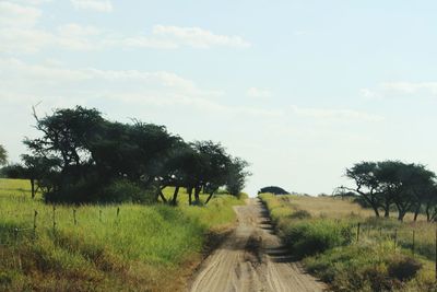 Road amidst field against sky