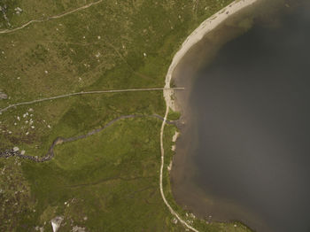 High angle view of water amidst trees