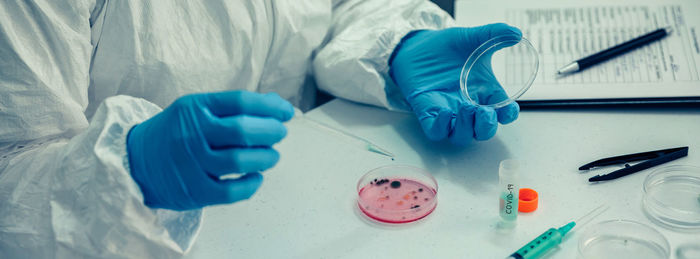 Midsection of scientist with petri dish on table in laboratory