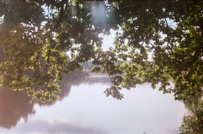Scenic view of lake in forest against sky