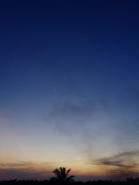 Low angle view of silhouette trees against sky at sunset