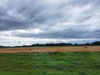 Scenic view of field against sky