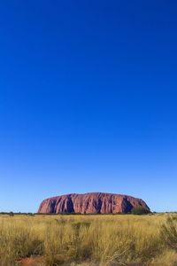 Scenic view of field against clear blue sky