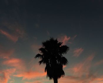 Low angle view of silhouette tree against sky at sunset