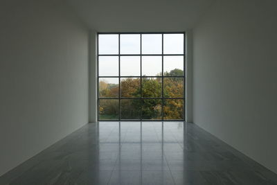 Trees seen through glass window of building