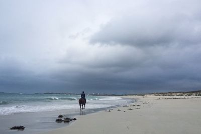 Rear view of man on horse at beach against sky