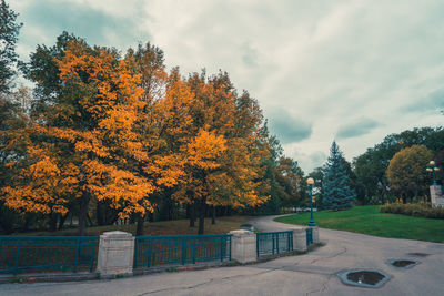 Autumn trees against sky