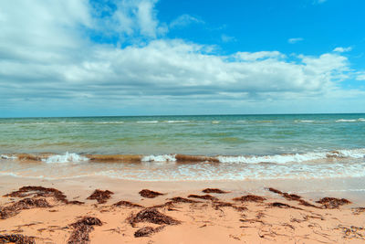 Scenic view of beach against sky