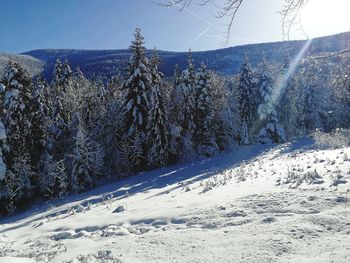 Snow covered landscape against sky