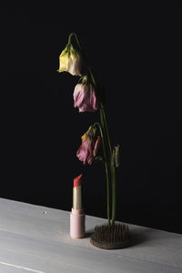Close-up of pink flower on table against black background