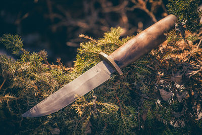 High angle view of wood amidst trees on field