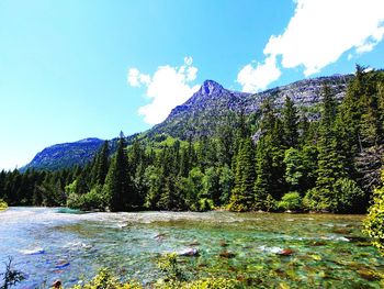 Scenic view of lake by trees against sky