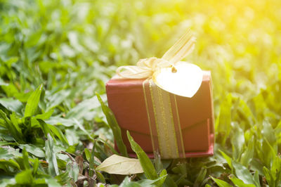 Close-up of small gift box on field