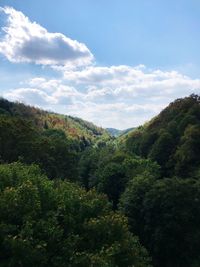 High angle view of forest against sky