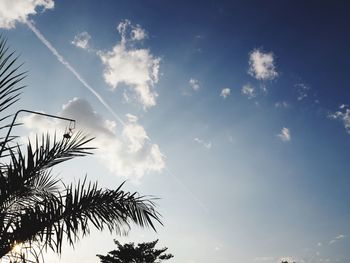 Low angle view of trees against blue sky