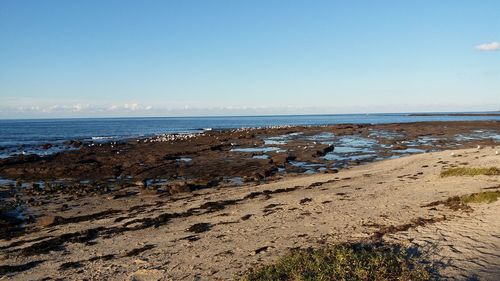 Scenic view of beach against clear sky