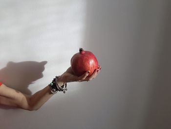 Midsection of person holding apple