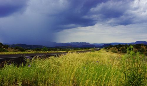 Scenic view of field against sky