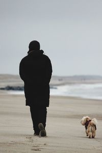 Rear view of man with dog walking on beach