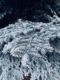 Full frame shot of frozen covered with snow