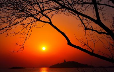 Silhouette bare tree by sea against sky during sunset