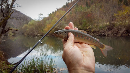 Person holding a fish