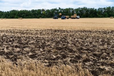 Vehicles on farm field