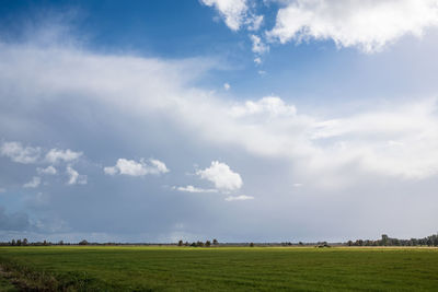 sky