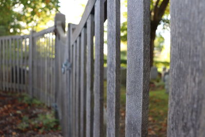 Close-up of metal fence against trees