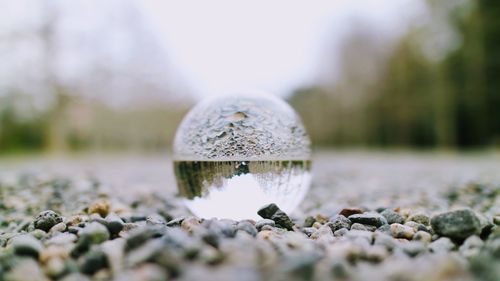 Close-up of stone ball on field