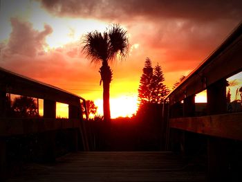 Silhouette of palm trees at sunset