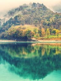 Scenic view of lake by trees against sky