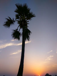 Low angle view of palm trees against sky during sunset