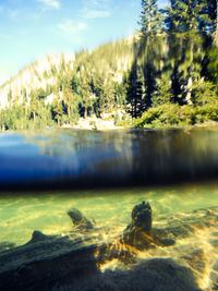 Close-up of turtle in water against sky