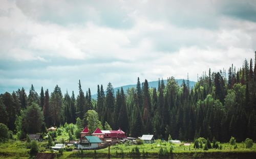 Scenic view of forest against sky