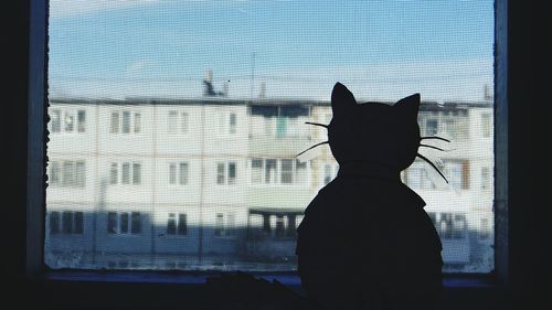 Rear view of silhouette man standing outdoors