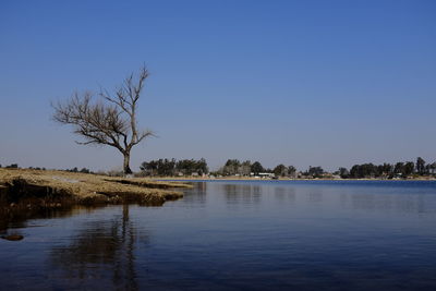 Scenic view of lake against clear blue sky