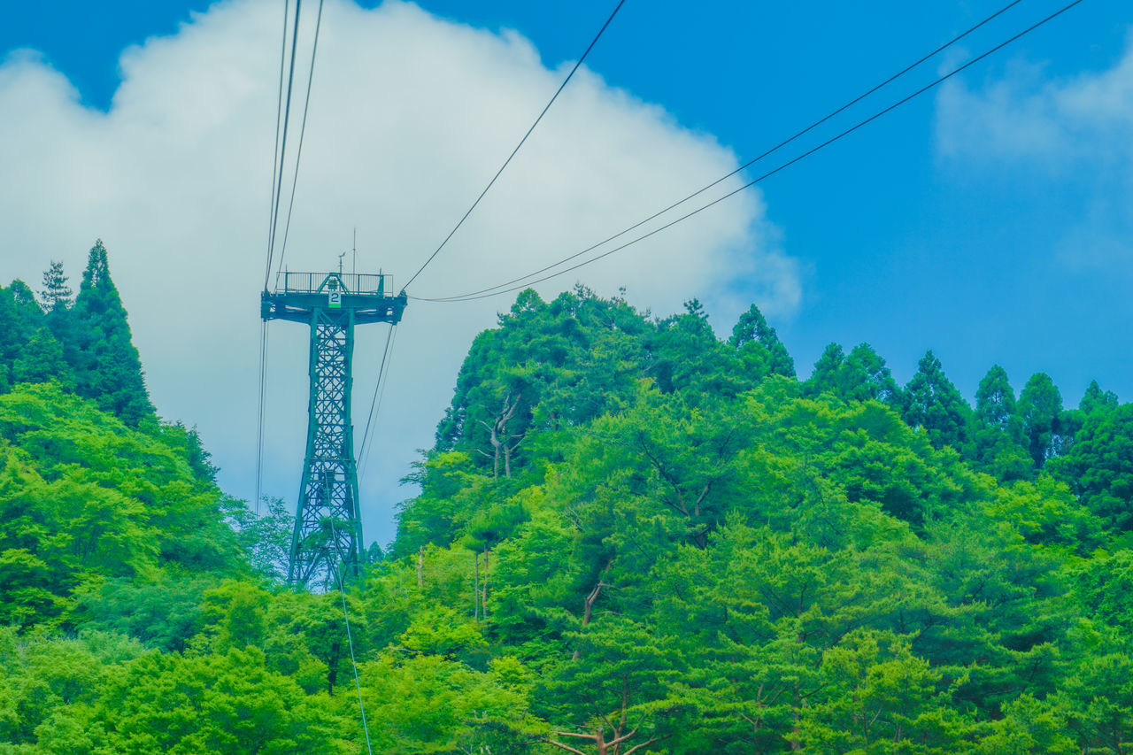 LOW ANGLE VIEW OF ELECTRICITY PYLONS AGAINST SKY