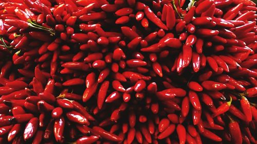 Full frame shot of red chili peppers
