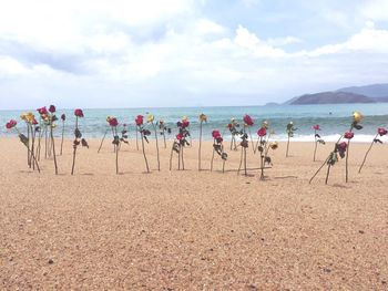 Scenic view of beach against cloudy sky
