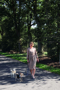 Young caucasian girl walks with two dogs on the road among tall trees in summer