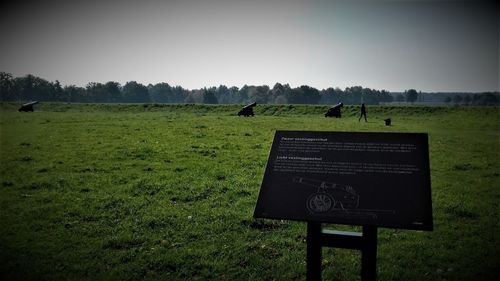 View of horses on grassy field