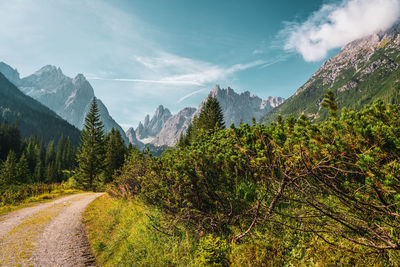 Hiking trail in the mountains of the sexten dolomites in italy.