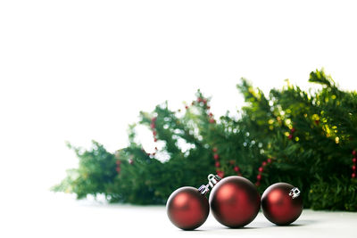 Close-up of cherries on tree against clear sky