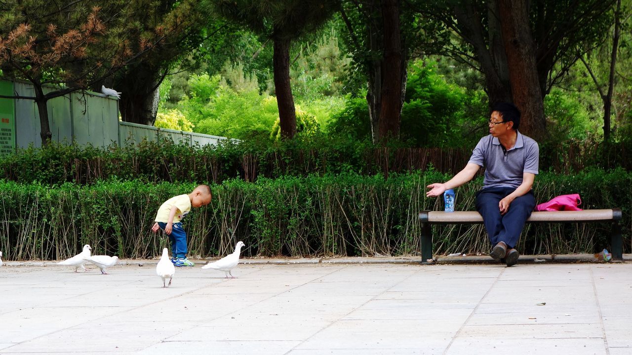 full length, childhood, tree, lifestyles, casual clothing, leisure activity, boys, elementary age, girls, rear view, person, togetherness, park - man made space, innocence, playing, grass, green color