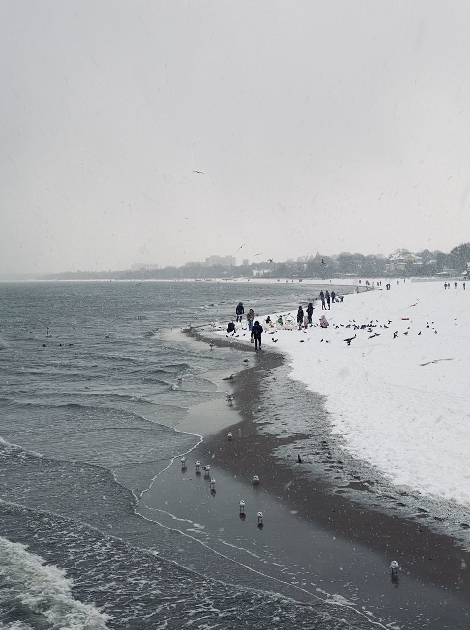 GROUP OF PEOPLE ON BEACH