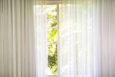 View of curtain